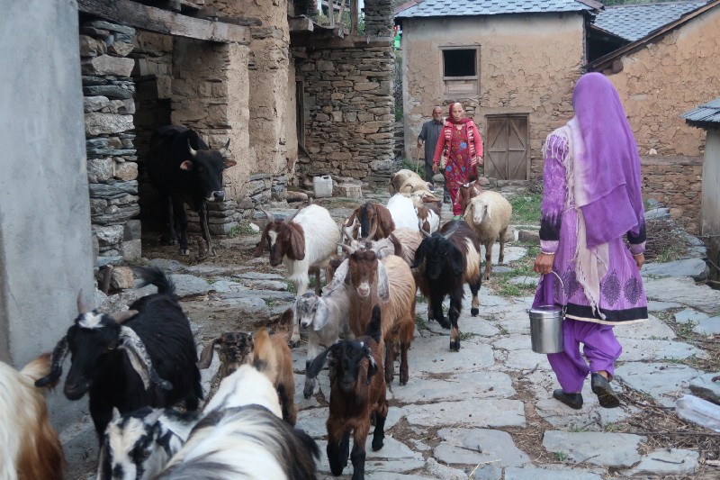 A village scene 