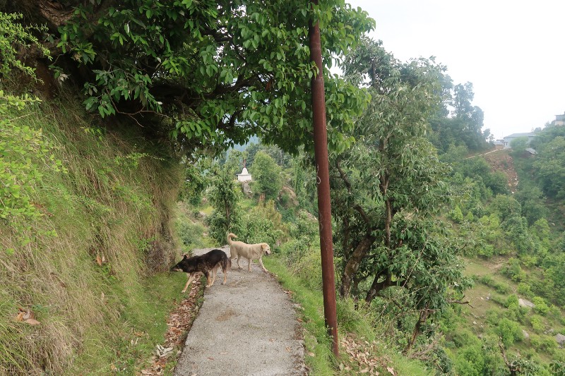 Trekking together