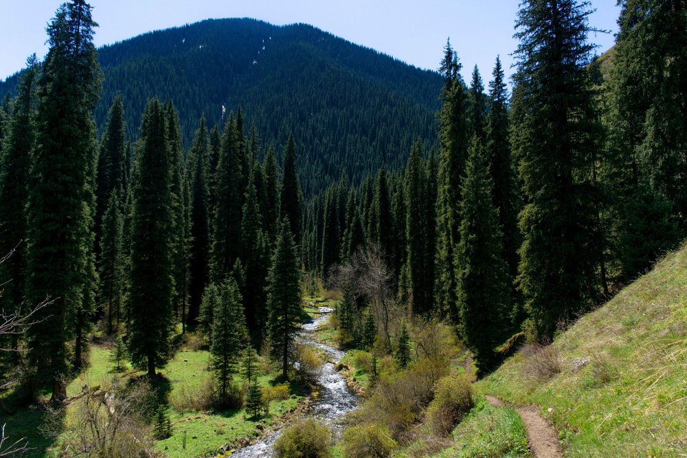 Kolsay River Stream